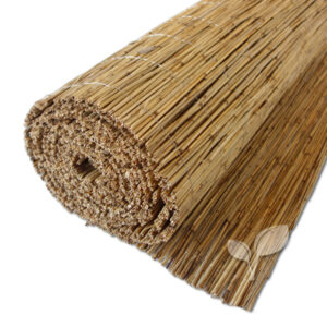Canisse en roseau Premium 200 cm de haut