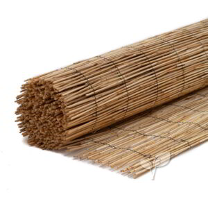 Canisse en roseau pelé 100 cm de haut